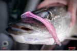 Ripper REDBASS KICKER L - 100 mm