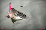Ripper REDBASS KICKER L - 100 mm