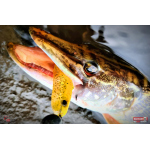 Ripper REDBASS KICKER L - 100 mm