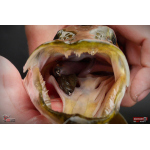 Ripper REDBASS KICKER L - 100 mm