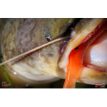 Ripper REDBASS KICKER L - 100 mm