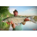 Ripper REDBASS KICKER S - 70 mm