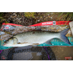 Ripper REDBASS KICKER S - 70 mm