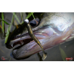 Ripper REDBASS KICKER S - 70 mm