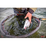 Ripper REDBASS KICKER S - 70 mm