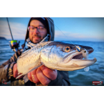 Ripper REDBASS KICKER S - 70 mm