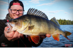 Ripper REDBASS KICKER S - 70 mm