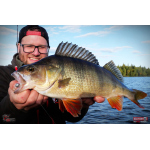 Ripper REDBASS KICKER S - 70 mm