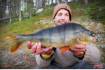 Ripper REDBASS KICKER S - 70 mm