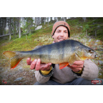 Ripper REDBASS KICKER S - 70 mm