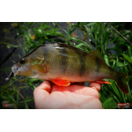 Ripper REDBASS KICKER S - 70 mm