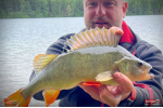 Ripper REDBASS KICKER S - 70 mm