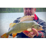 Ripper REDBASS KICKER S - 70 mm