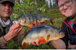 Ripper REDBASS KICKER S - 70 mm