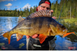 Ripper REDBASS KICKER S - 70 mm