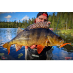 Ripper REDBASS KICKER S - 70 mm