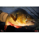 Ripper REDBASS KICKER S - 70 mm