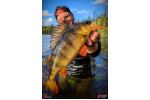 Ripper REDBASS KICKER S - 70 mm