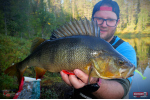 Ripper REDBASS KICKER S - 70 mm