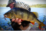 Ripper REDBASS KICKER S - 70 mm