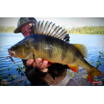 Ripper REDBASS KICKER S - 70 mm