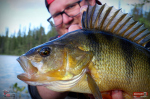 Ripper REDBASS KICKER S - 70 mm