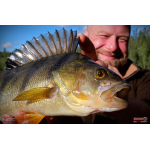 Ripper REDBASS KICKER S - 70 mm