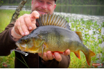 Ripper REDBASS KICKER S - 70 mm