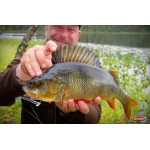 Ripper REDBASS KICKER S - 70 mm