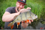 Ripper REDBASS KICKER S - 70 mm
