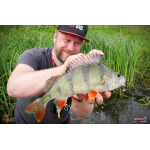Ripper REDBASS KICKER S - 70 mm