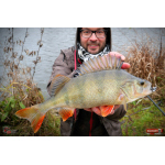 Ripper REDBASS KICKER S - 70 mm