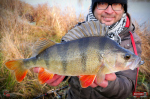 Ripper REDBASS KICKER S - 70 mm