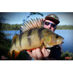 Ripper REDBASS KICKER S - 70 mm