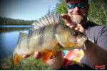 Ripper REDBASS KICKER S - 70 mm