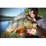 Ripper REDBASS KICKER S - 70 mm