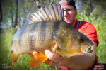 Ripper REDBASS KICKER S - 70 mm