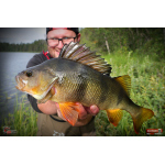 Ripper REDBASS KICKER S - 70 mm