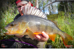 Ripper REDBASS KICKER S - 70 mm