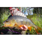Ripper REDBASS KICKER S - 70 mm