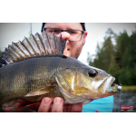 Ripper REDBASS KICKER S - 70 mm