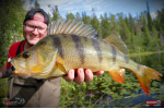 Ripper REDBASS KICKER S - 70 mm
