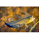 Ripper REDBASS KICKER S - 70 mm
