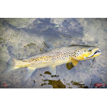 Ripper REDBASS KICKER S - 70 mm