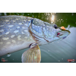 Ripper REDBASS KICKER S - 70 mm
