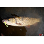 Ripper REDBASS KICKER S - 70 mm