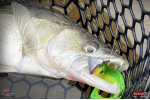 Ripper REDBASS KICKER XL - 125 mm