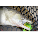 Ripper REDBASS KICKER XL - 125 mm