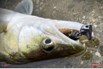 Ripper REDBASS KICKER XL - 125 mm