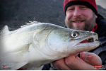 Ripper REDBASS KICKER XL - 125 mm